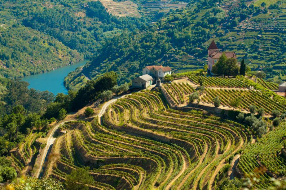 vins Portugal Douro