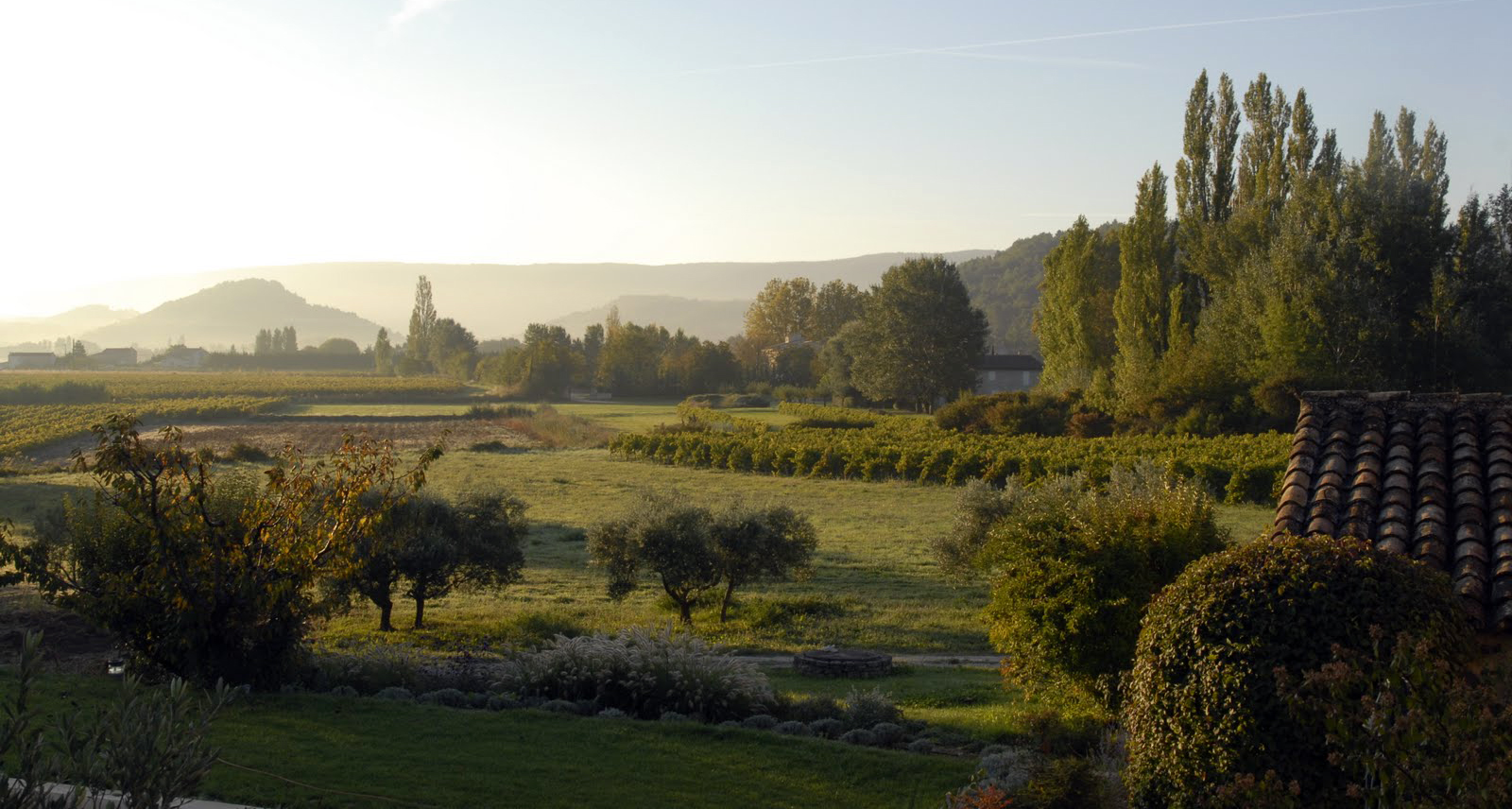 vins de provence la garelle