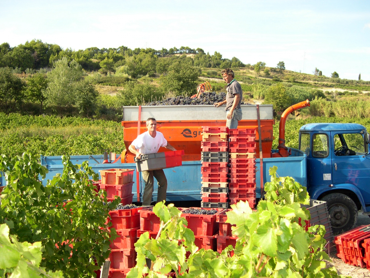 Domaine La Mereuille