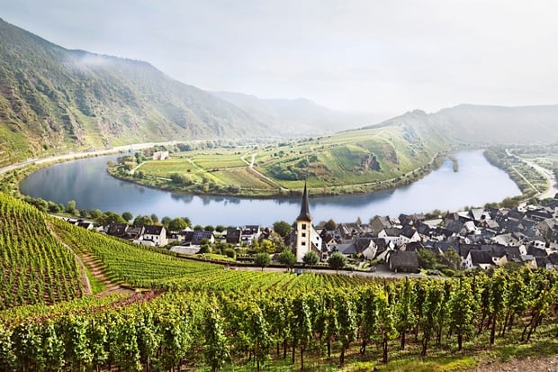 vins allemagne mosel